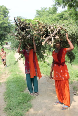 Collecting wood outside the Taj