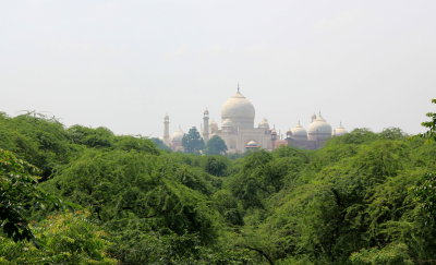 Taj Mahal seen from the Taj Nature Walk