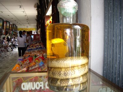 Snake Wine