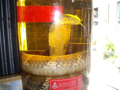 Snake Wine