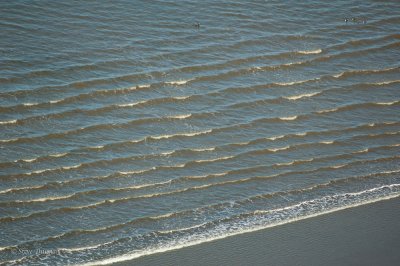_DSC4228.jpg