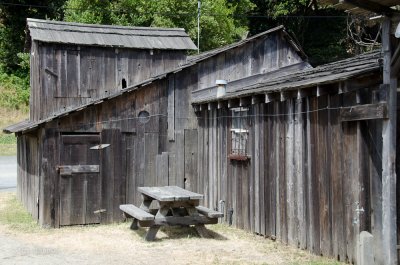DSC_3304.jpg