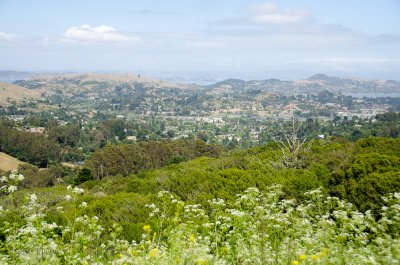 DSC_3351.jpg