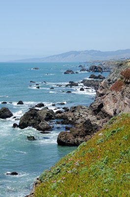 DSC_3440.jpg