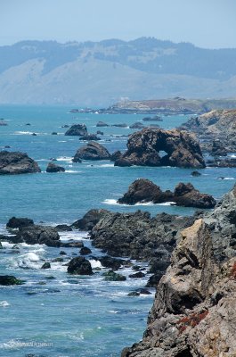 DSC_3452.jpg