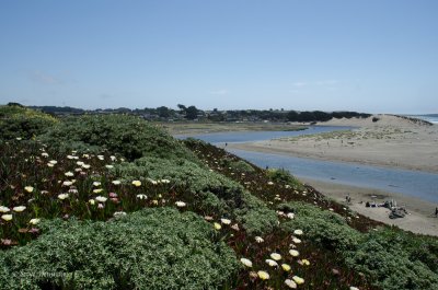 DSC_3456.jpg
