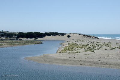 DSC_3462.jpg
