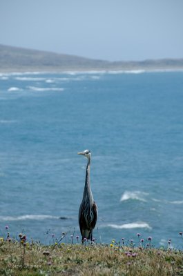 DSC_3519.jpg