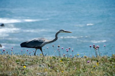 DSC_3524.jpg
