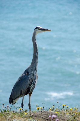 DSC_3574.jpg