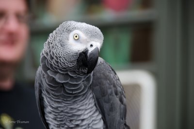 _DSC5803.jpg