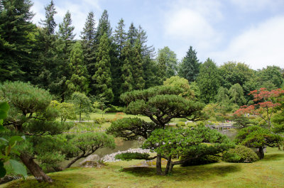 _DSC5855.jpg