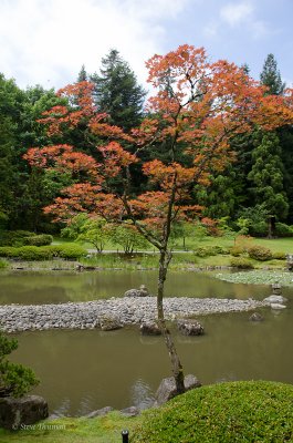 _DSC5856.jpg