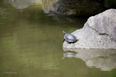 _DSC5857.jpg