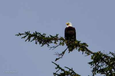 _DSC6826.jpg
