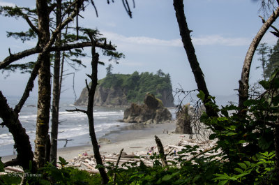 _DSC6885.jpg
