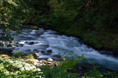 _DSC7262.jpg