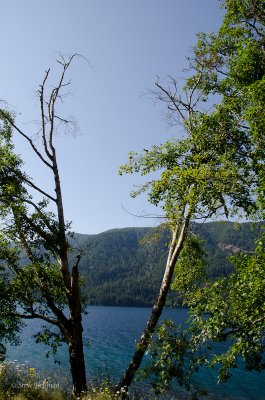 _DSC7295.jpg