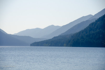 _DSC7306.jpg