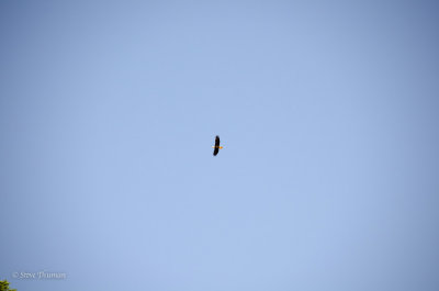 _DSC7362.jpg