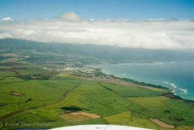 Sugar Cane and Kahului