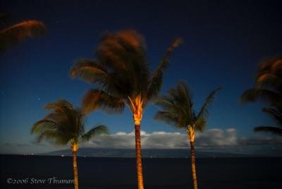 Midnight Maui