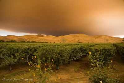 Smokey Sky