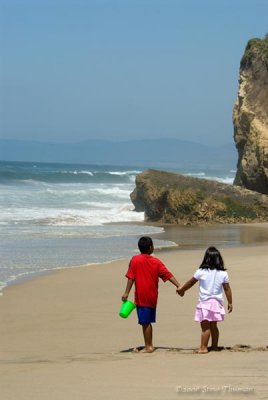 A Stroll on the Beach