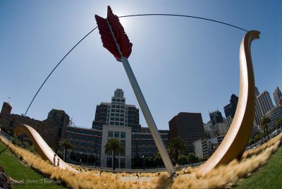 Cupid's Span