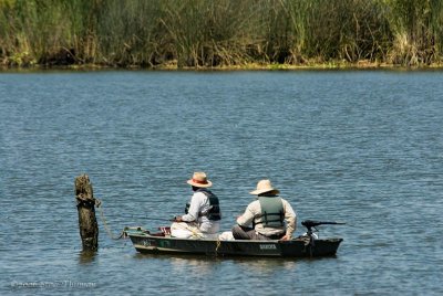 Out Fishing
