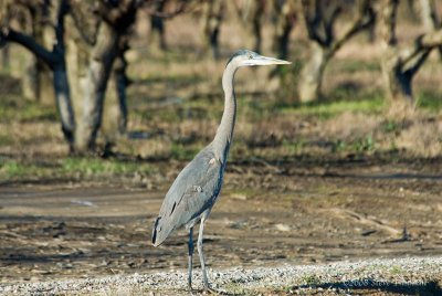 _DSC7758.jpg