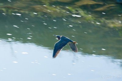 _DSC7974.jpg