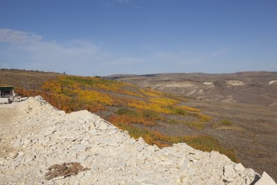 IMG_1913.jpg
