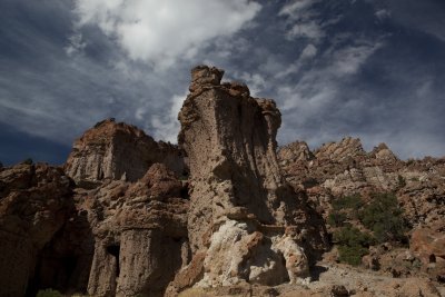 IMG_2050.jpg