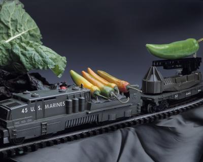 Concept: Fighting Hunger