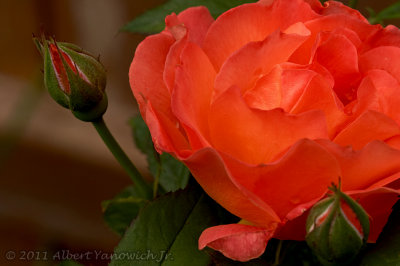 g4/57/483957/3/135752186.hDYRSmV8.jpg