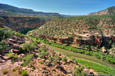 The Dolores River