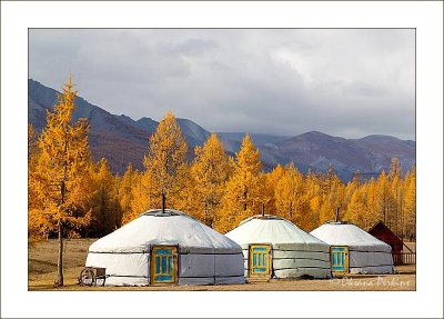 North and Central Mongolia 2011