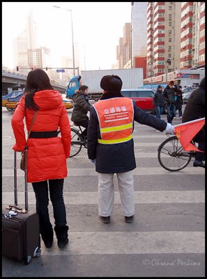 Traffic-Warden.jpg