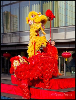CNY-Lions.jpg