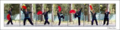 Red fan Tai Chi