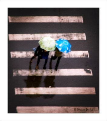 Rain-1.jpg