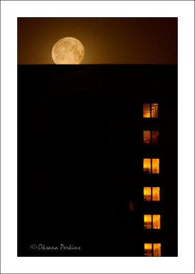 Window-Moon-1.jpg