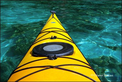 kayak-water.jpg