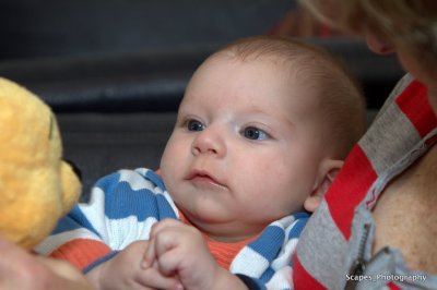 July2011_MG_3785.CR2-1.jpg