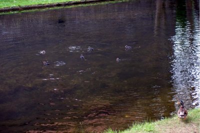 DSC02117.jpg