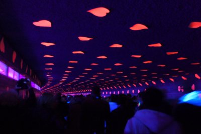 DSC02183.r.JPG