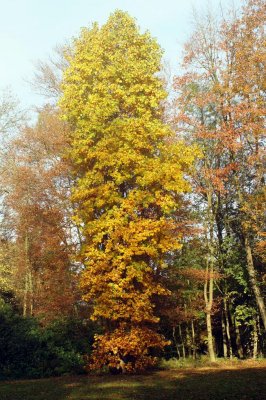 DSC01925.r.jpg