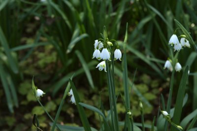 DSC02670.r.JPG