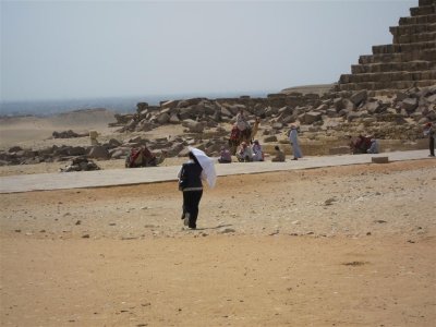 IMG_0456.jpg